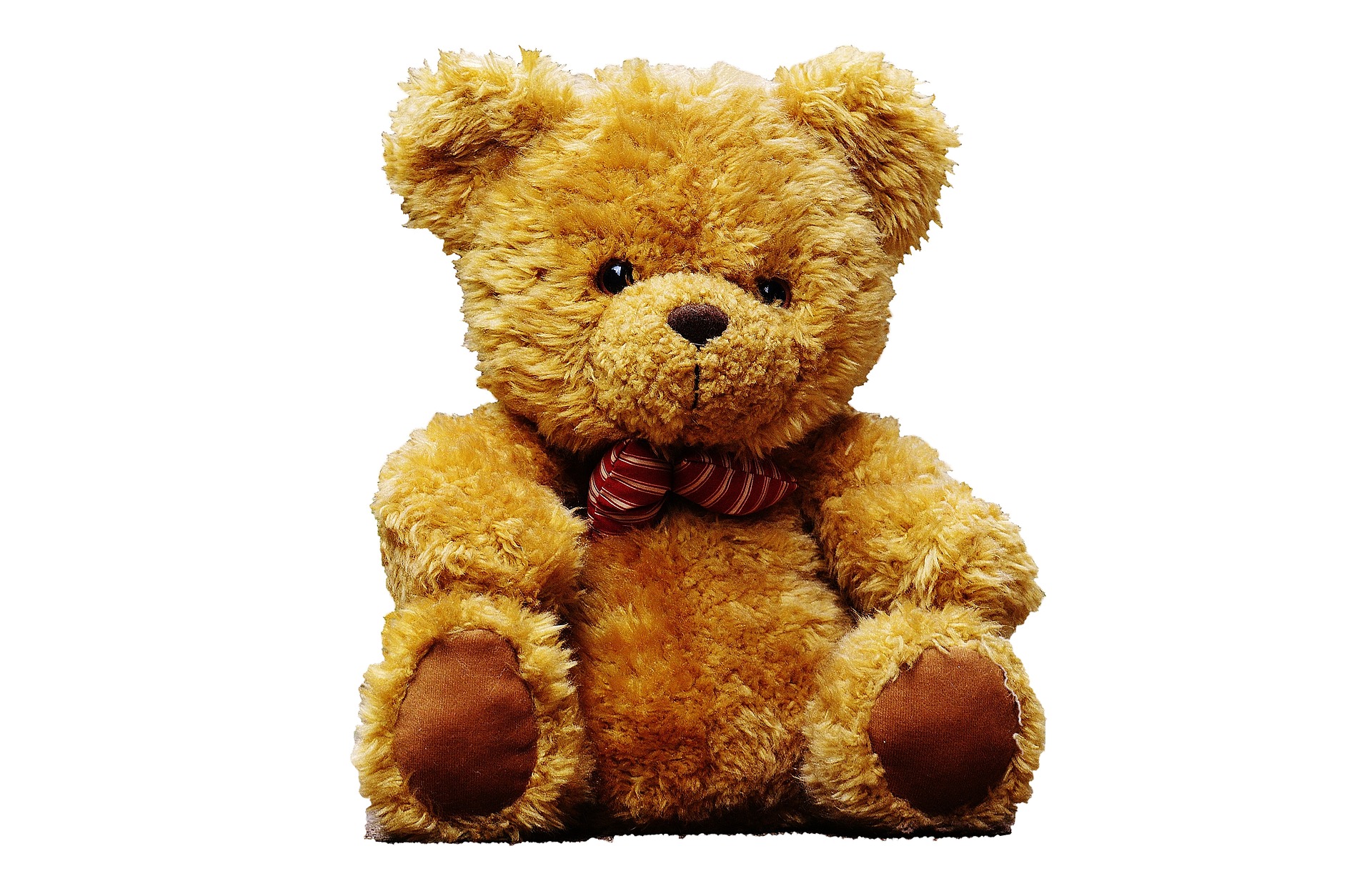 teddy bear 2771252 1920